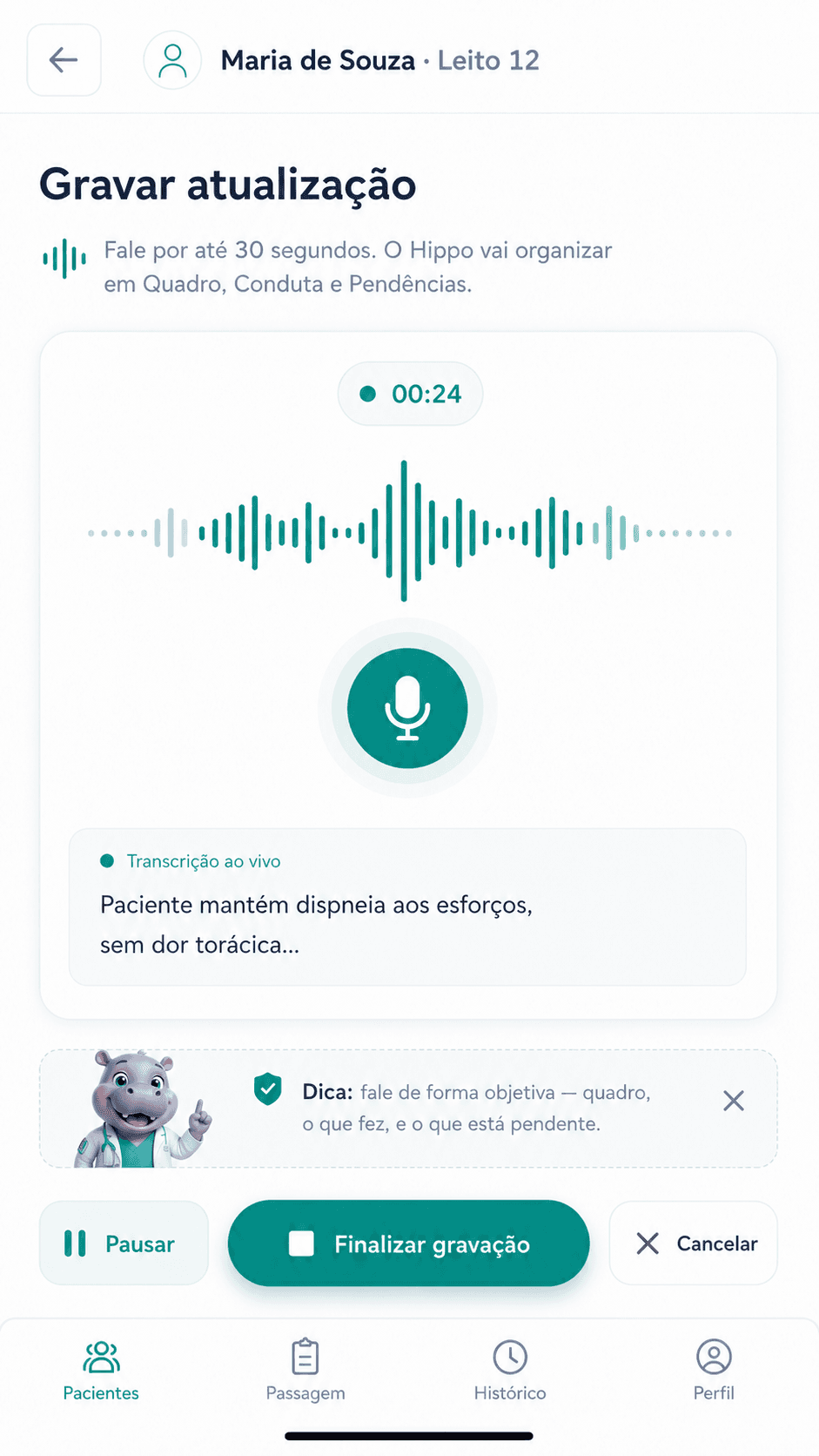 Tela de gravação de atualização no Hippo